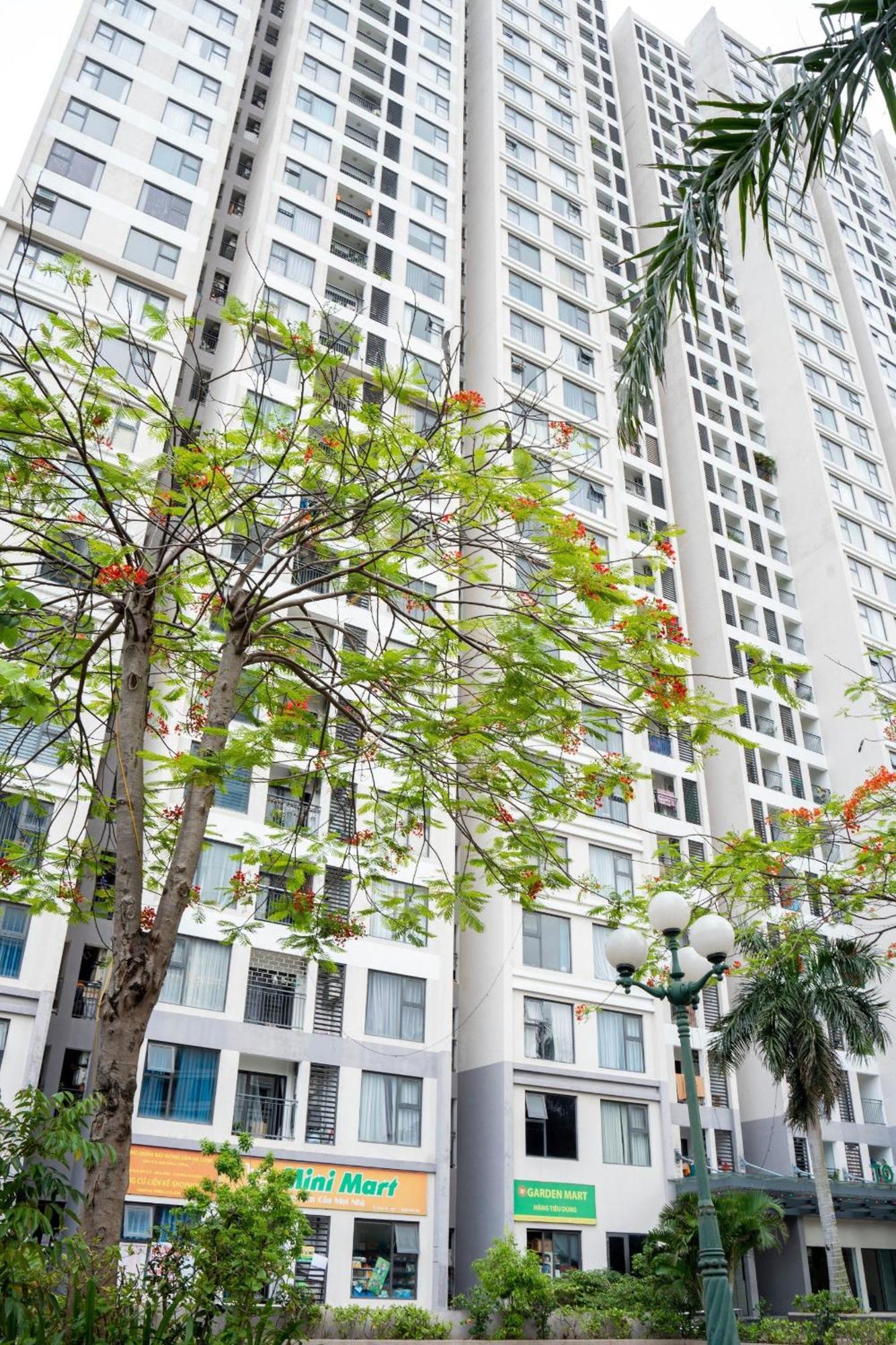 Bon Homestay View Bien ها لونغ المظهر الخارجي الصورة